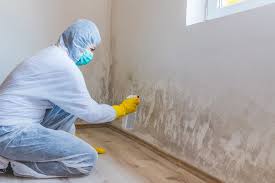 Best Industrial Mold Remediation in Blountsville, AL